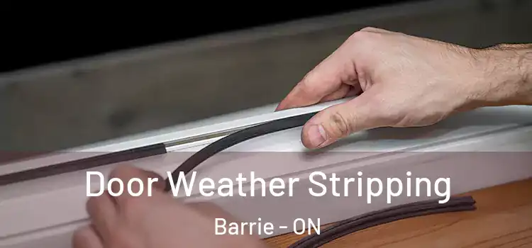  Door Weather Stripping Barrie - ON