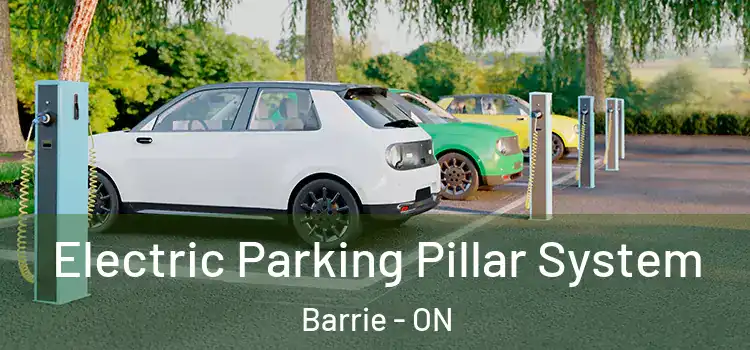  Electric Parking Pillar System Barrie - ON