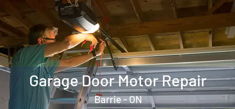 Garage Door Motor Repair Barrie - ON