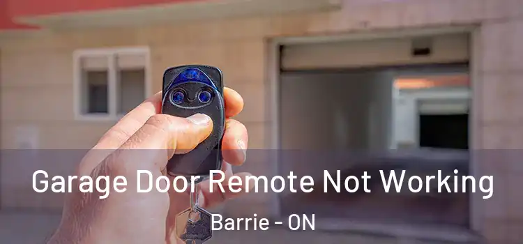  Garage Door Remote Not Working Barrie - ON