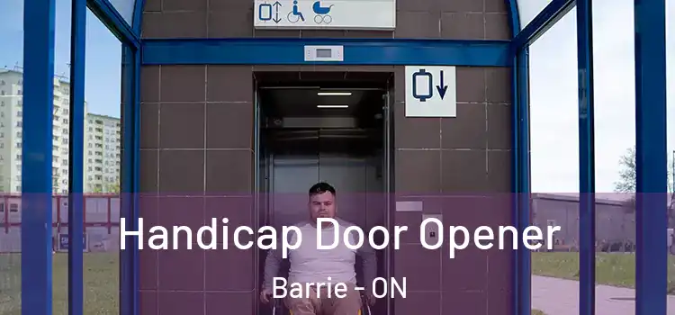  Handicap Door Opener Barrie - ON