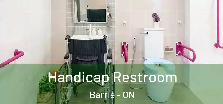 Handicap Restroom Barrie - ON