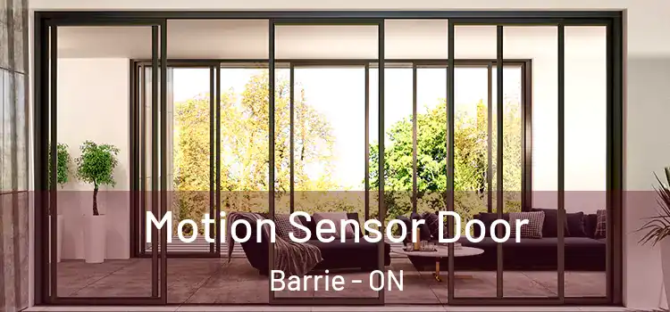  Motion Sensor Door Barrie - ON
